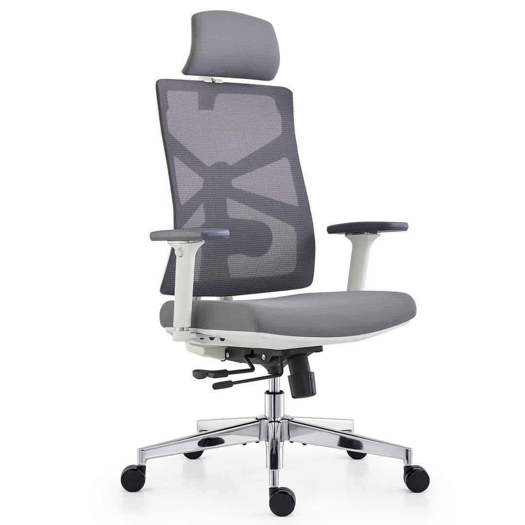 HOLLUDLE Ergonomischer Bürostuhl mit Adaptiver Rückenlehne, Schreibtischstuhl mit 4D Armlehnen, Vers