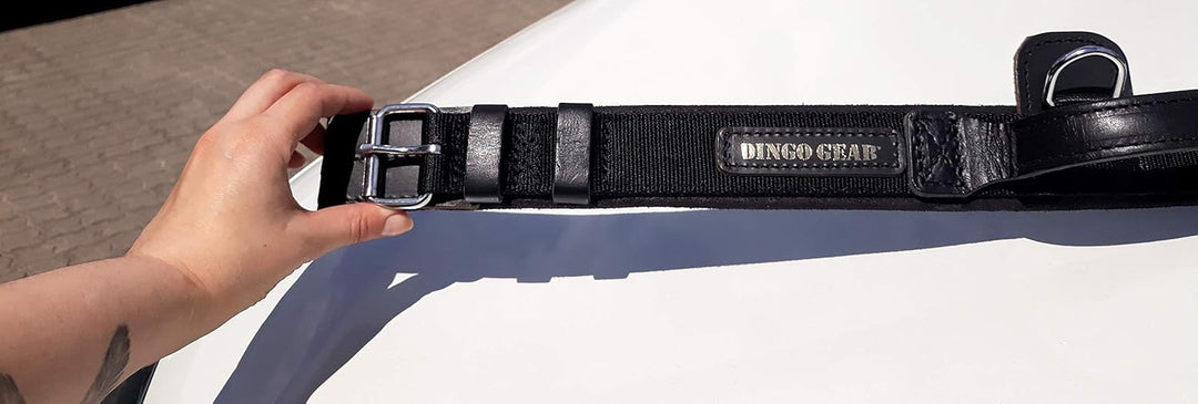 Dingo Gear Halsband für Hund &