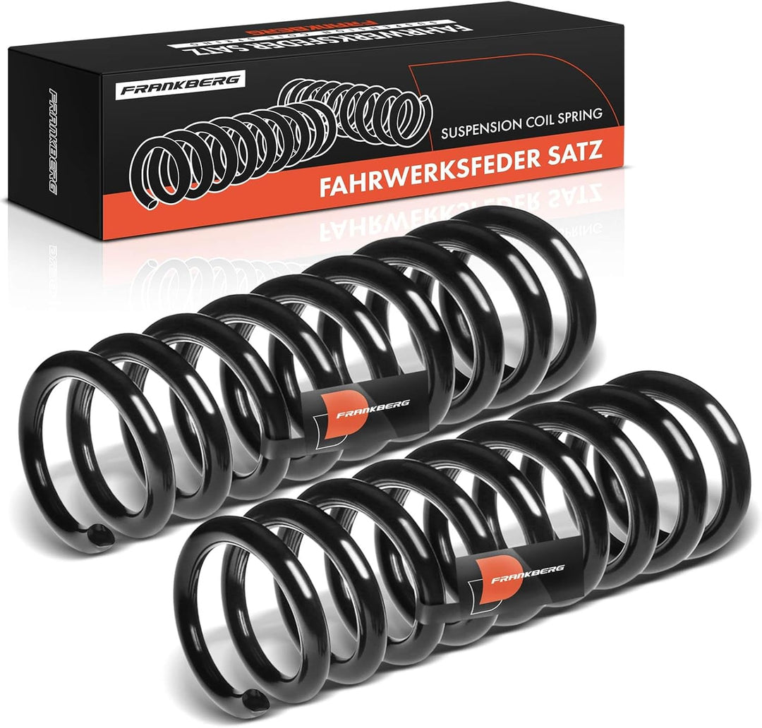 Frankberg 2x Federn Fahrwerksfeder Hinterachse Kompatibel mit W202 C180 C200 C220 C240 1994-2000 C20