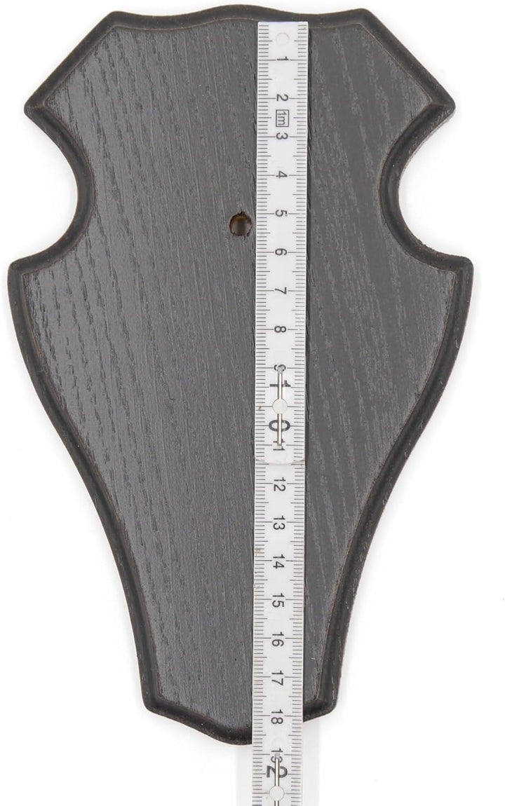 10 Stück REH Bock Schild Trophäenschilder mit 1 Kieferfach in Eiche dunkel