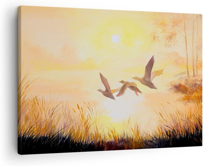 Bilder auf Leinwand Vogel Natur Wasser Leinwandbild mit Rahmen 70x50cm Wandbilder Dekoration Wohnzim