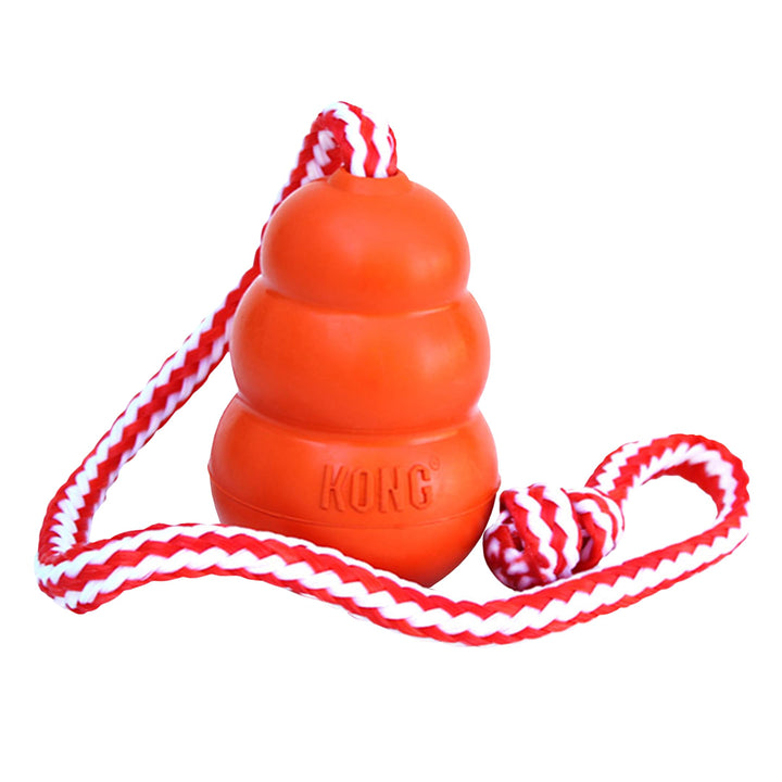 KONG Aqua Floating Fetch Toy - Hundespielzeug Für Wasser, Spiel und Training - Mit Schaumstoff-Innen