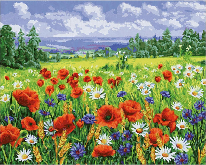 Schipper 609130824 Malen nach Zahlen - Blumenwiese - Bilder malen für Erwachsene, inklusive Pinsel u