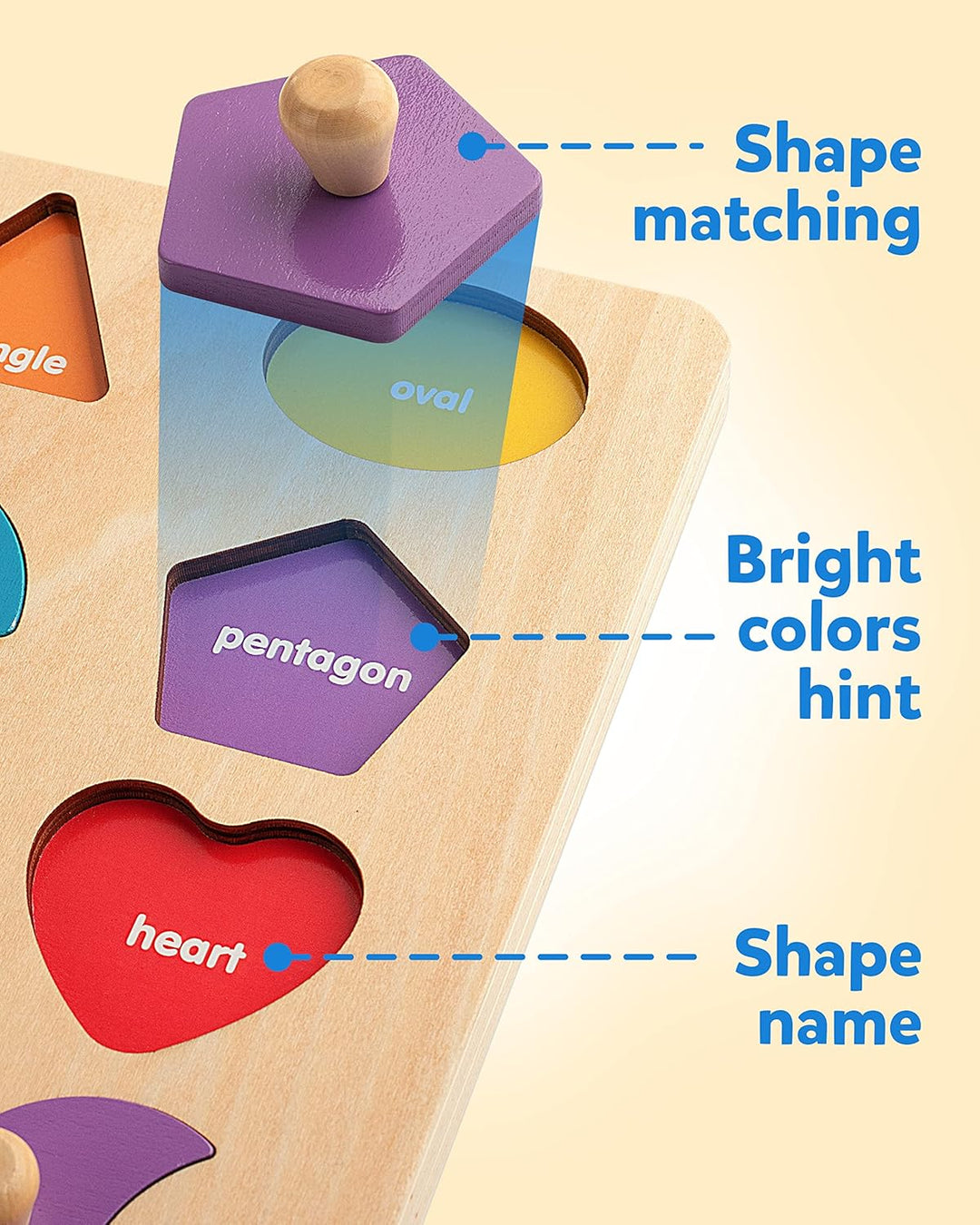 Coogam Montessori-Spielzeug, Holzform, Steckpuzzle, Feinmotorik, farblich passendes Sortierbrett, fr