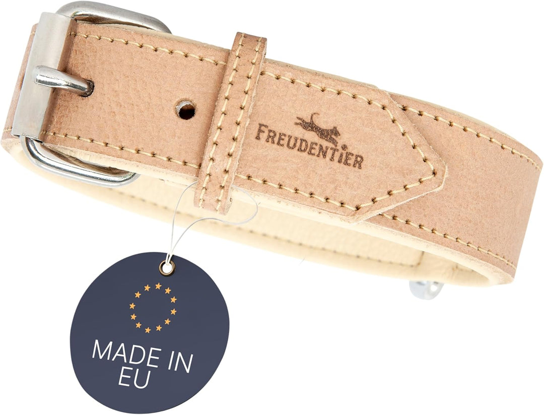 FREUDENTIER® Hundehalsband aus Leder, Made in Holland, gefüttert & super komfortabel, hochwertiges b