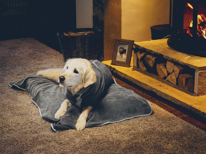 Lucky Paws® Hundehandtuch - luxuriöse 600g/m,140x80cm XL Hundehandtuch extra saugfähig - trocknet sc