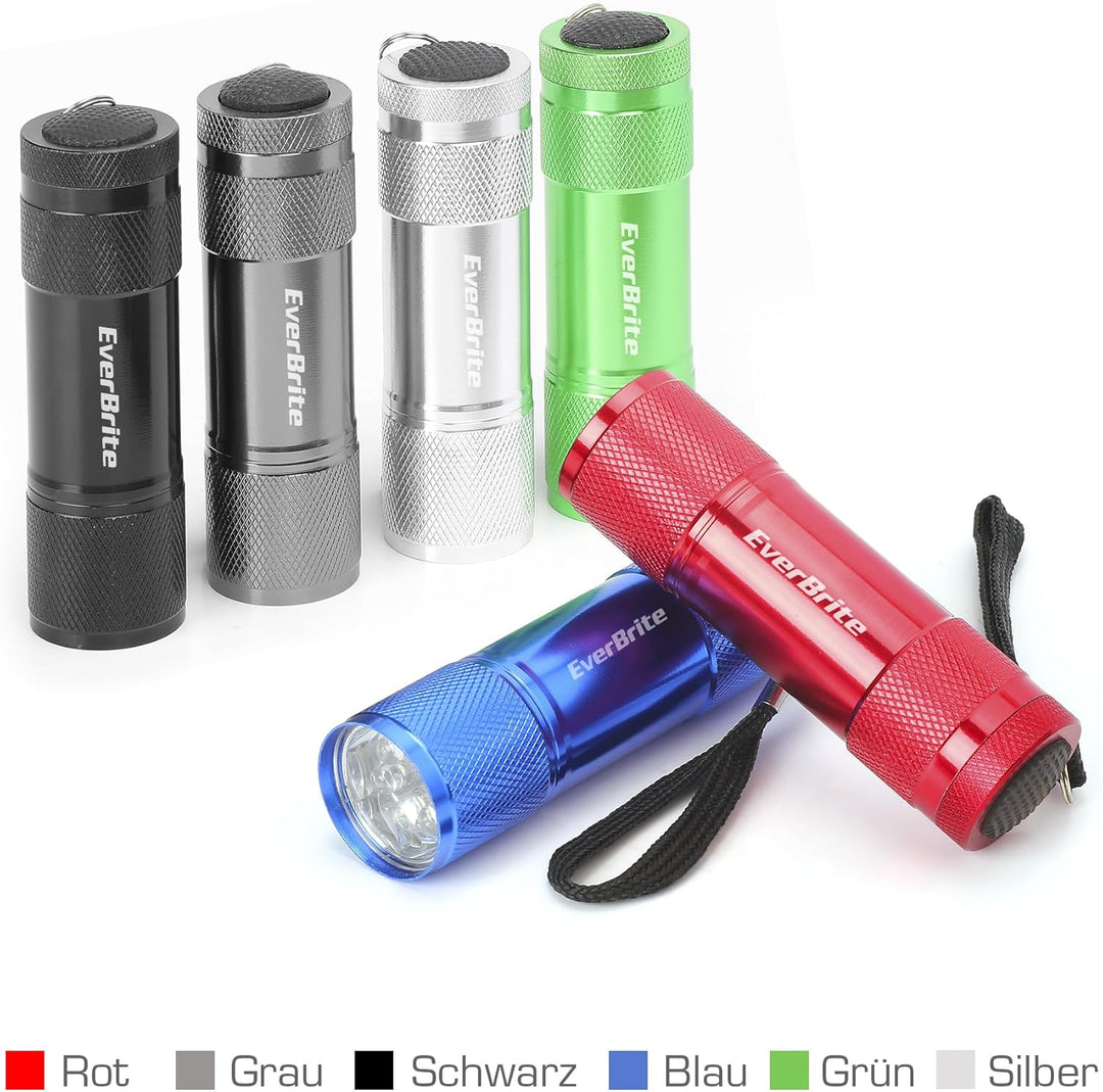 EverBrite 18tlg. LED Taschenlampen Set, mini kleine Kinder Taschenlampe mit Lanyard und 54 AAA Batte