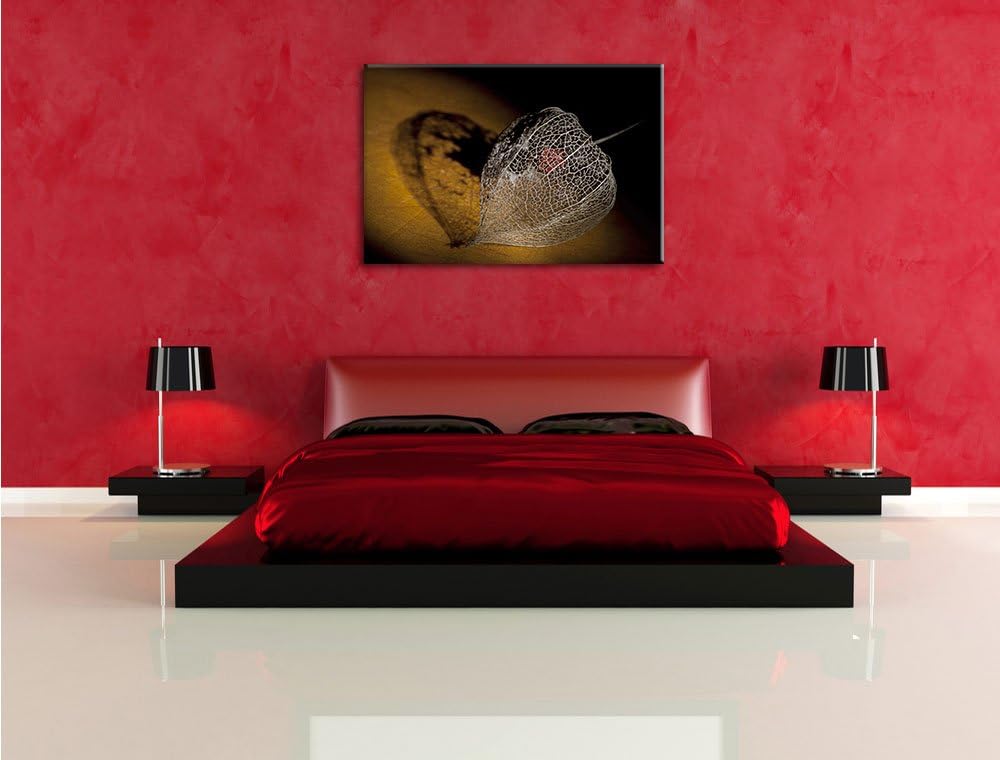 Schatten einer Physalis, Format: 100x70 auf Leinwand, XXL riesige Bilder fertig gerahmt mit Keilrahm