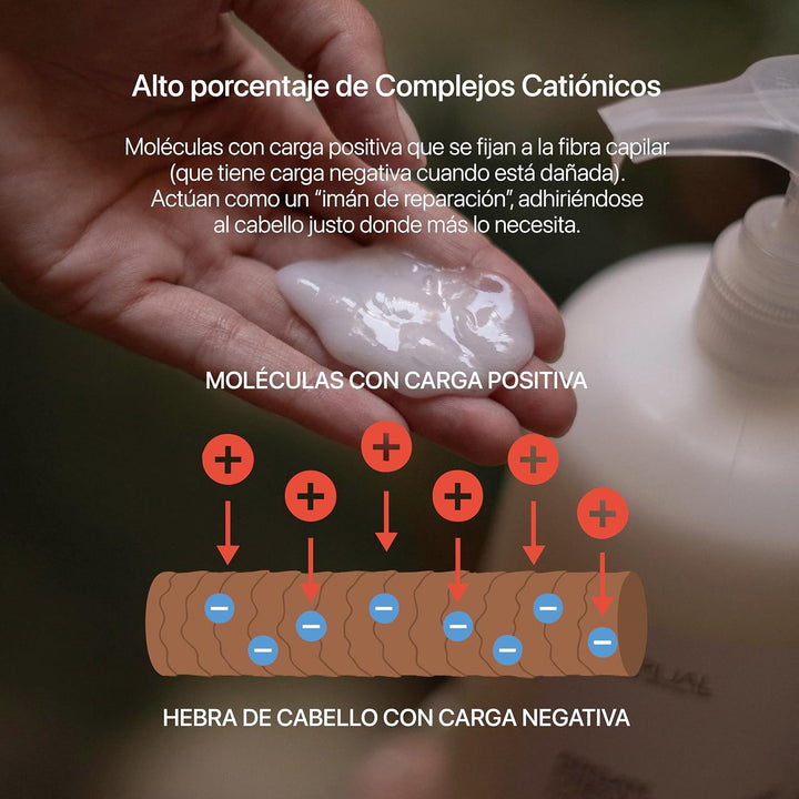 Arual Argan Collection Acondicionador 1001Ml Banane 1000 ml (1er Pack), Banane 1000 ml (1er Pack)