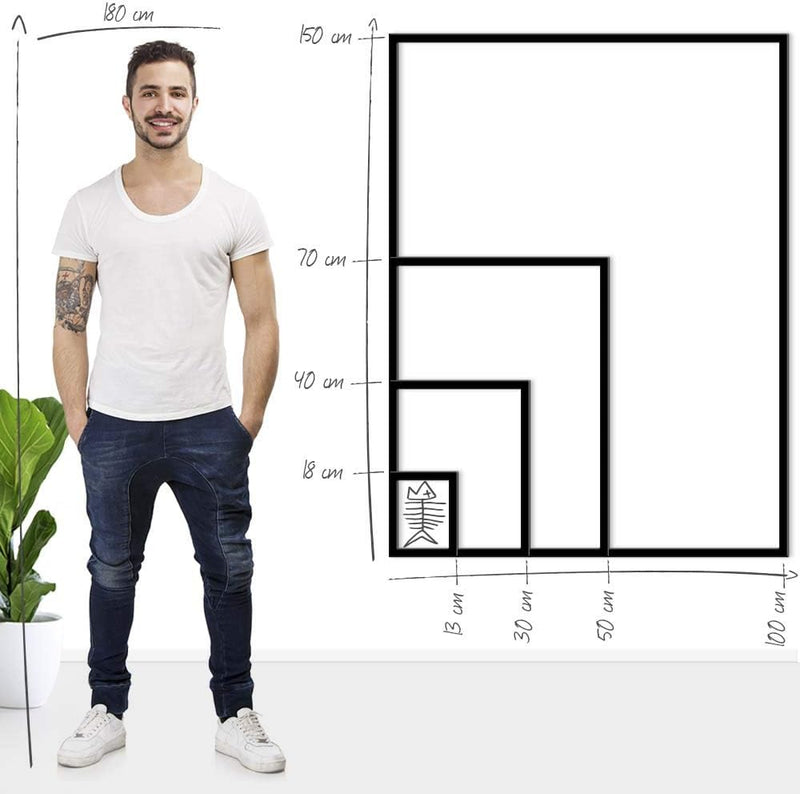 Bildershop-24 Schattenfugenrahmen Lemgo für Keilrahmenbilder und Leinwände 40x60cm Weiss Matt