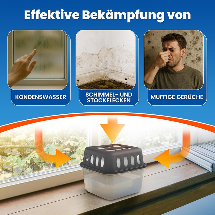4x Luftentfeuchter ohne Strom + 8x 400g Luftentfeuchter Nachfüllpack - Raumentfeuchter bis 40m² für