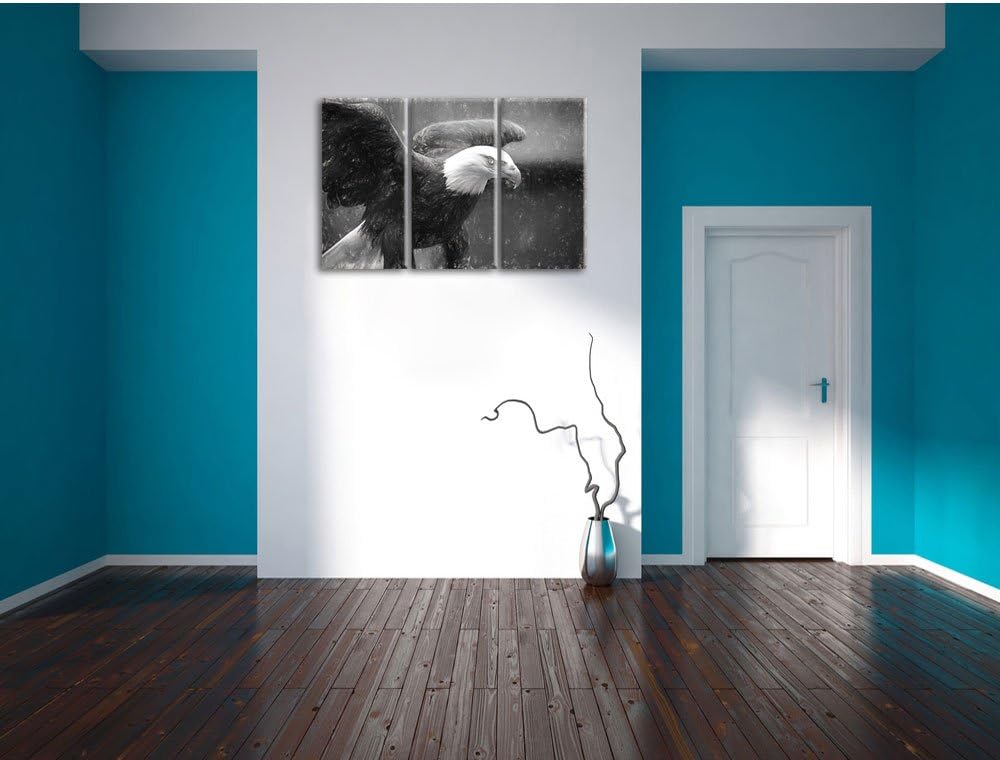 Pixxprint Adler als Leinwandbild/Grösse: 3 Teilig (120x80) cm/Wandbild/Kunstdruck/fertig bespannt
