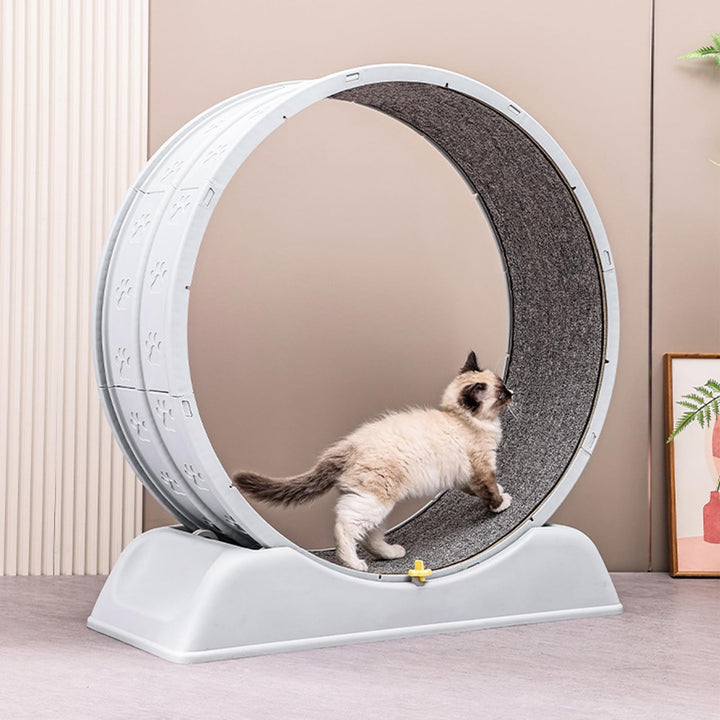 Katzenlaufrad, 80 cm grosses Laufband für Katzen, mit Sicherheitsbremse und weichem Innenstoff für H