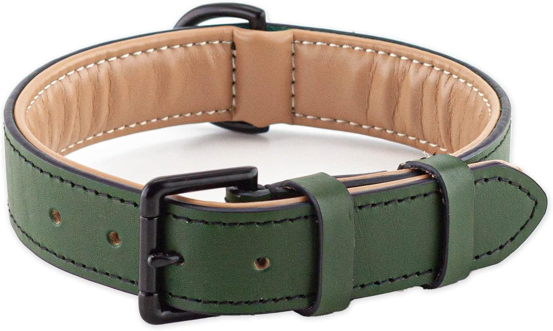 Brute Strength Hundehalsband aus Leder - Dunkelgrün - XXL - 66-73 cm XXL - 66-73 cm Dunkelgrün, XXL