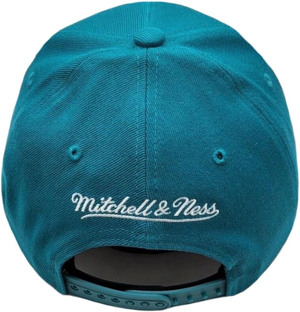 Mitchell & Ness NBA Stretch Snapback Cap Charlotte Hornets Team Ground 2.0 Teal