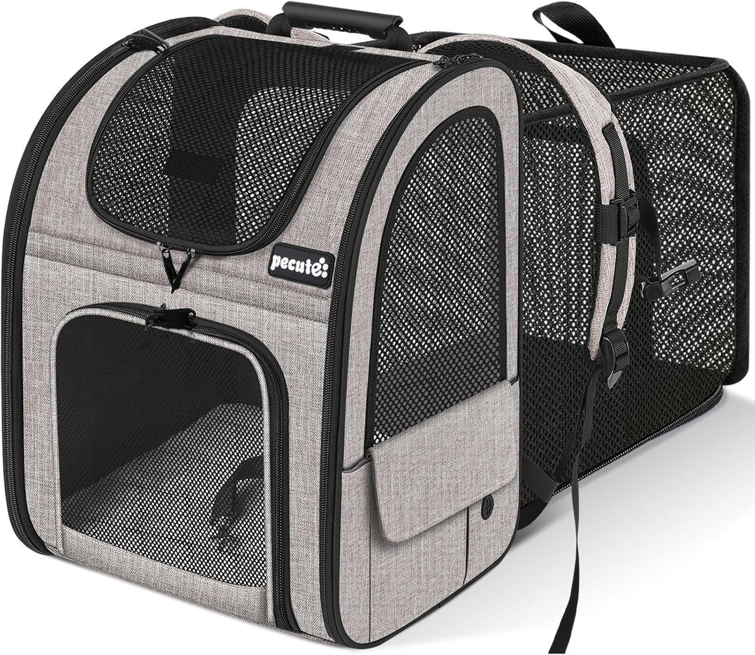pecute Hunderucksack, Erweiterbar Faltbar, Katzenrucksack Grosse Katzen mit Anti-offener Reissversch