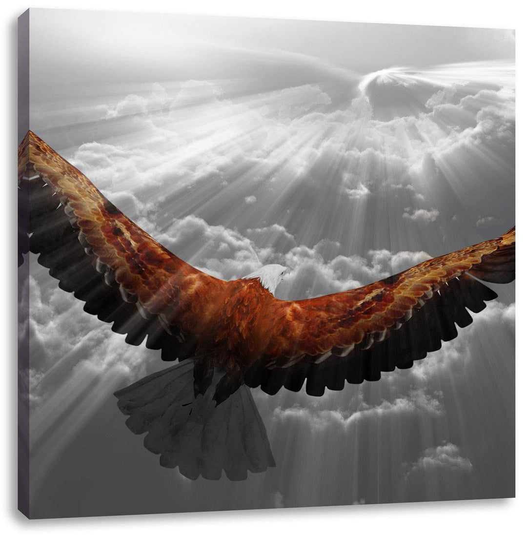 Pixxprint anmutiger Adler über den Wolken schwarz/weiss, Format: 70x70 auf Leinwand, 70x70