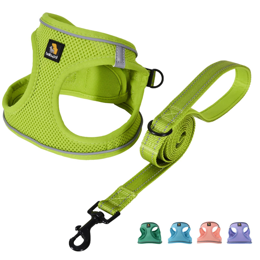 BELLA &amp; PAL Hundegeschirr Kleine Hunde mit Leine, Step-in Geschirr aus Air Mesh, Anti Zug Reflektier