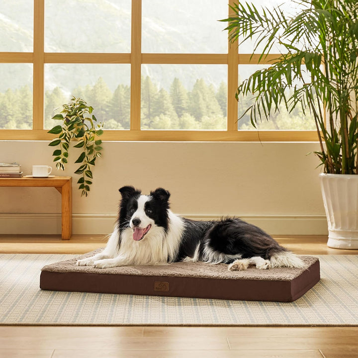 BEDSURE orthopädisches Hundebett mittelgrosse Hunde - 91x69x7.6cm Hundekissen flauschig Hundematte w