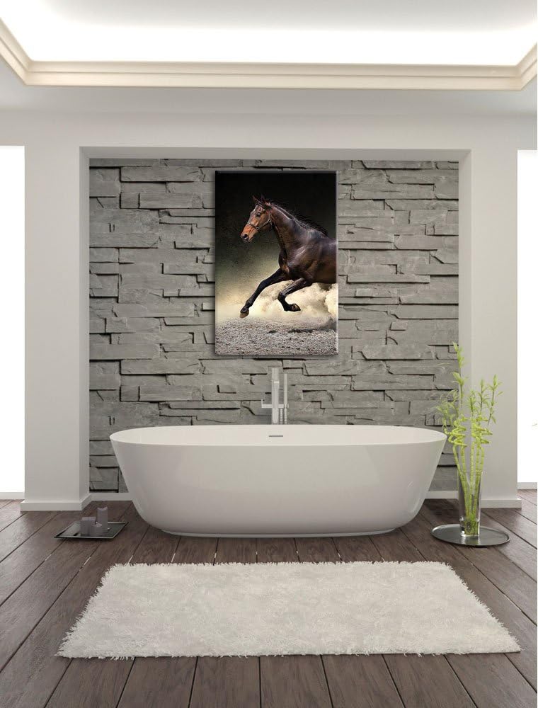 Dark Schwarzer Hengst, Format: 100x70 auf Leinwand, XXL riesige Bilder fertig gerahmt mit Keilrahmen