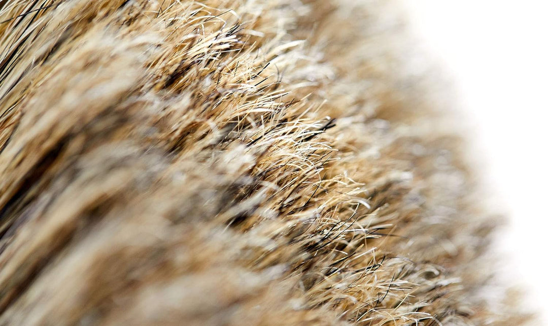 Vorwerk | Borsteneinsatz für Flächenwascher | 2005213