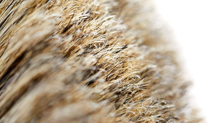 Vorwerk | Borsteneinsatz für Flächenwascher | 2005213