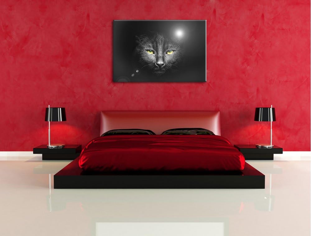 Katzenkopf mit düsterem Hintergrund schwarz/weiss Format: 100x70 auf Leinwand, XXL riesige Bilder fe