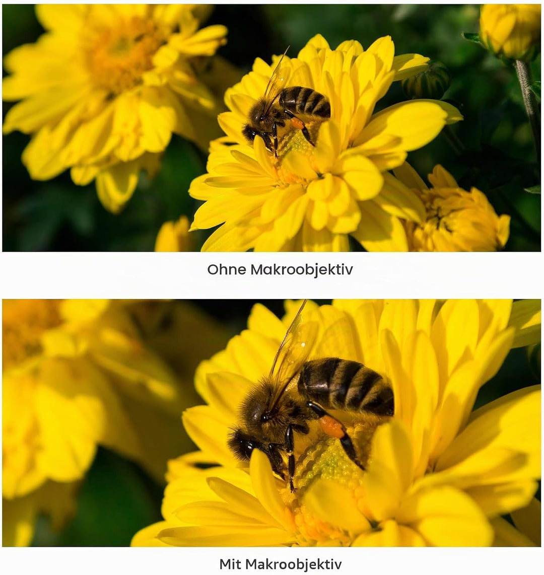 58-mm-Kameraobjektiv-Set mit 0,43 X Weitwinkelobjektiv + Makroobjektiv, Ersatz für Canon EOS 70D/77D