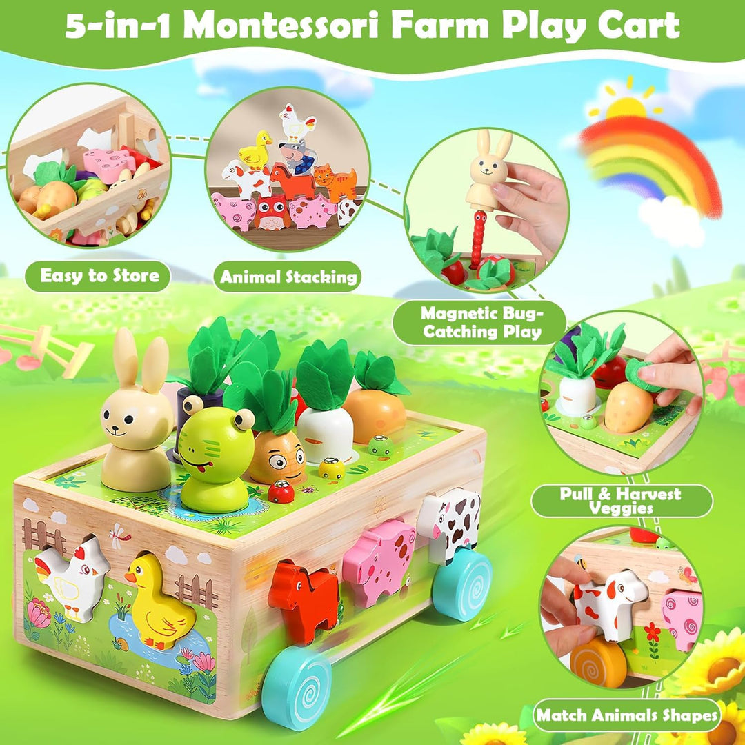 Montessori-Holzspielzeug ab 1 Jahr: Formsortierer Steckspiel &amp; Motorikspielzeug für Jungen &amp; Mädchen