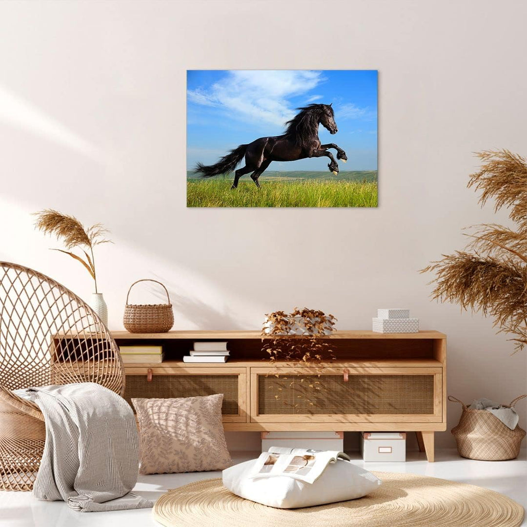 Bilder auf Leinwand Schwarzes Pferd Pferd Galopp Leinwandbild 70x50cm Wandbilder Dekoration Wohnzimm