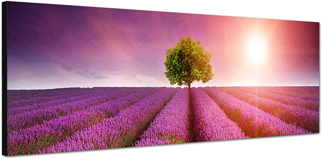 Paul Sinus Art Panoramabild auf Leinwand und Keilrahmen 150x50cm Lavendelfeld Baum Sommer Sonnenunte