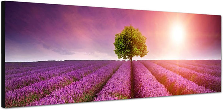 Paul Sinus Art Panoramabild auf Leinwand und Keilrahmen 150x50cm Lavendelfeld Baum Sommer Sonnenunte