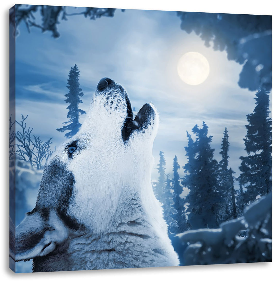 Pixxprint Wolf vor Mondlicht als Leinwandbild/Grösse: 70x70 cm/Wandbild/Kunstdruck/fertig bespannt,
