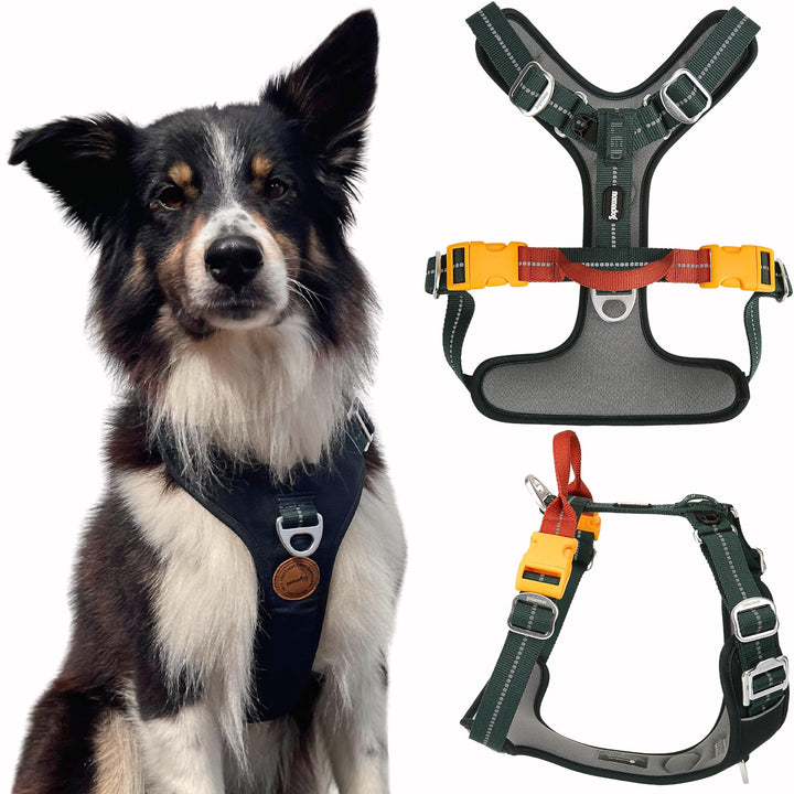 Nomadog Trailblazer Anti Zug Hundegeschirr Mittelgrosse Hunde mit Griff - Gepolstert, Verstellbar fü