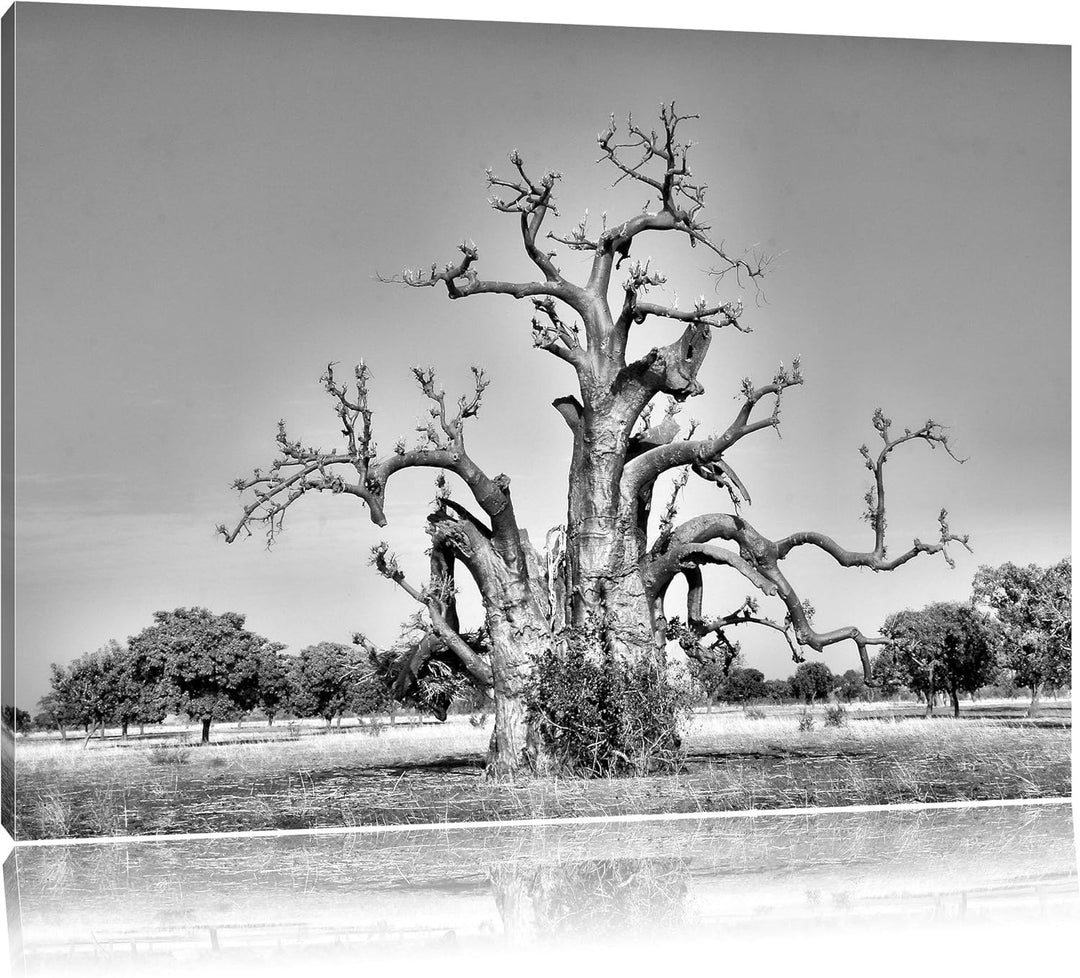 Pixxprint Monocrome, vertrockneter Baum in der Savanne, Format: 100x70 auf Leinwand, XXL riesige Bil