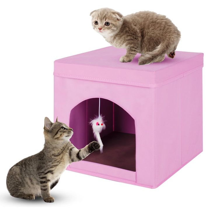 powerking Klappbare Katzenbetten für Indoor Katzen oder Kätzchen, Faltbare Katze Würfel und Katze Hö