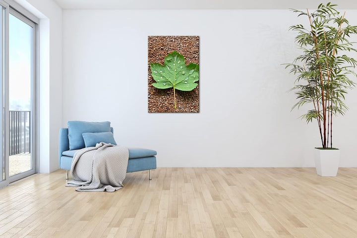 deyoli grünes Ahornblatt mit Tropfen im Format: 80x60 als Leinwandbild, Motiv fertig gerahmt auf Ech