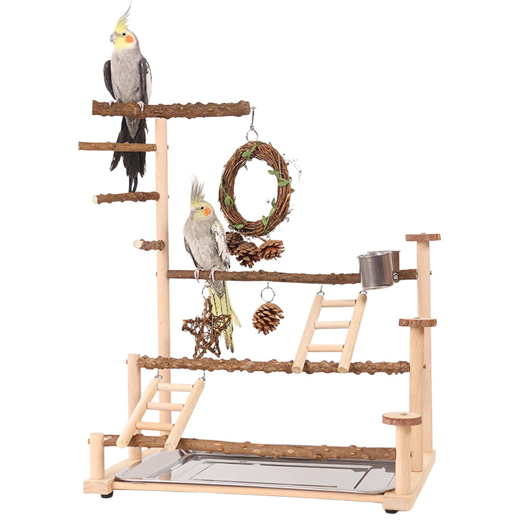 Vogelspielplatz Wellensittich Spielplatz Spielzeug, Grosser vogel Spielplatz mit Schaukel Sitzstange