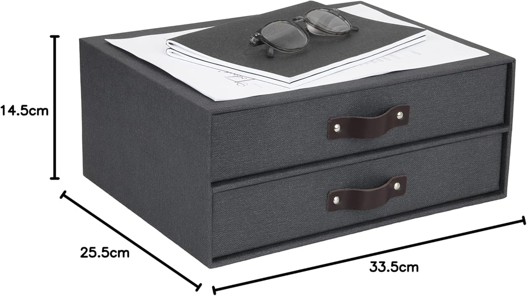 Bigso Box of Sweden Mini-Kommode für Dokumente und Büromaterial – Schreibtisch-Organizer mit 2 Schub