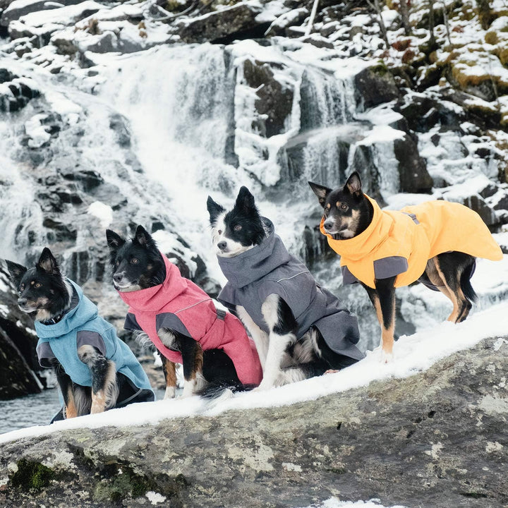 Hurtta Expedition Parka Wintermantel für Hunde, Hundemantel Warm, Blackberry Schwarz 45XS Brombeerfa