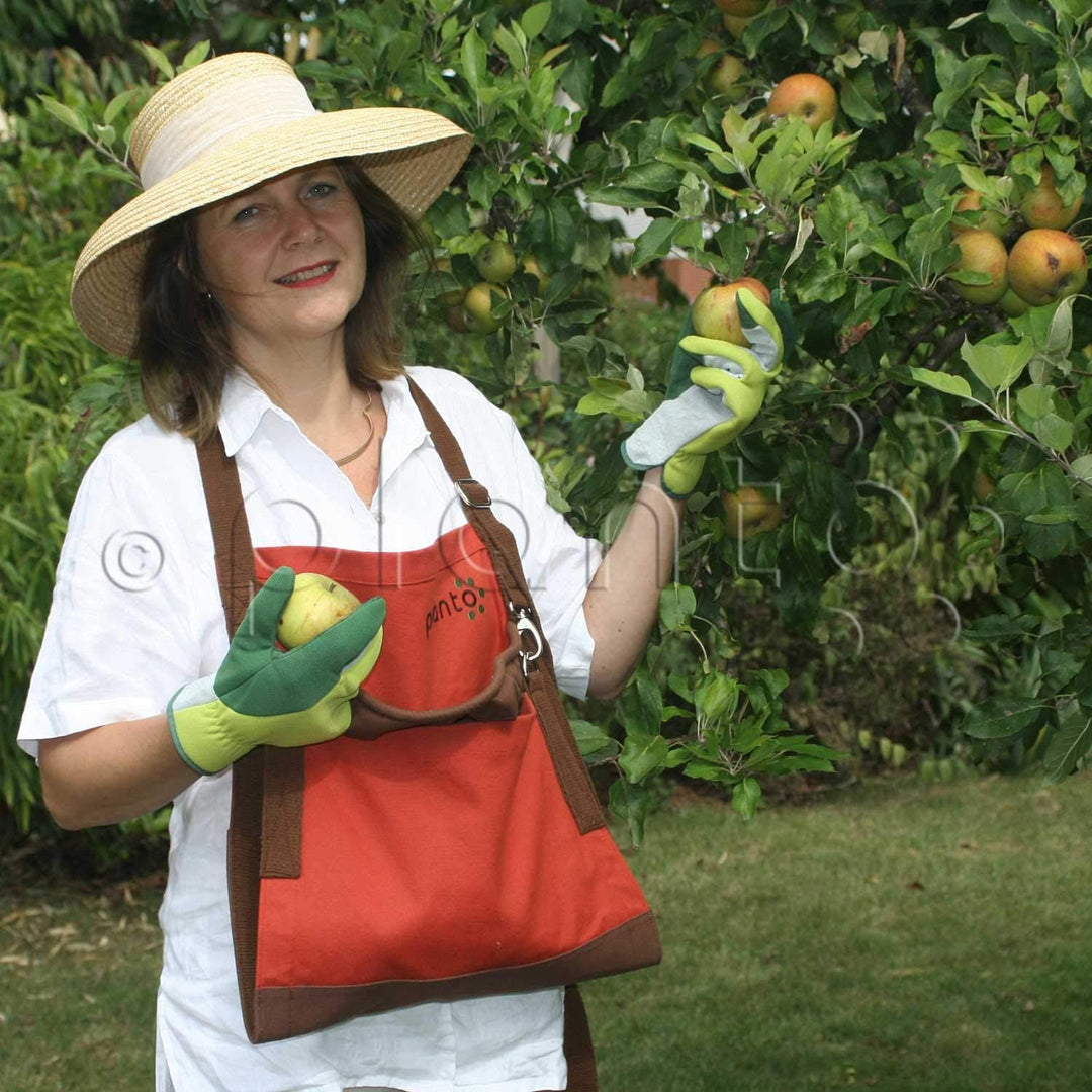 planto Profi-Pflücktasche Ernteschürze Garten, Gartenschürze für Ernte, Sammelschürze, für Gartenabf