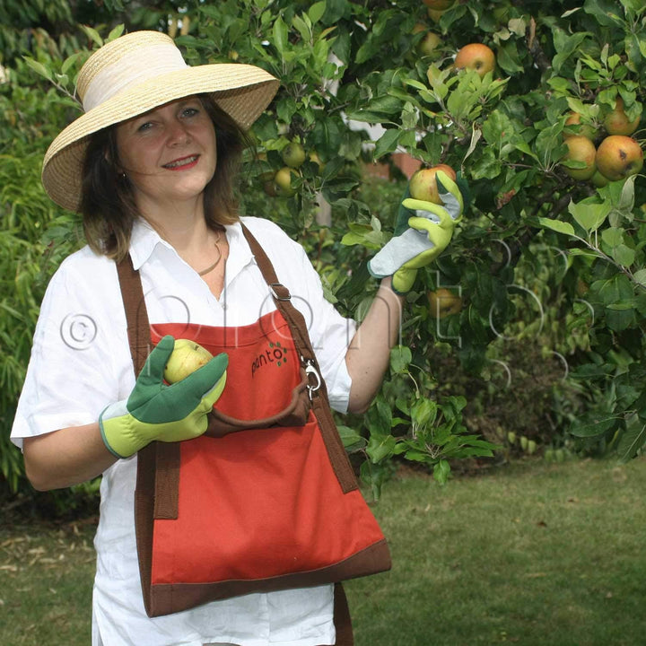 planto Profi-Pflücktasche Ernteschürze Garten, Gartenschürze für Ernte, Sammelschürze, für Gartenabf