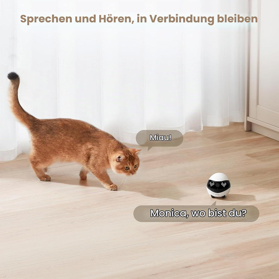 Enabot EBO Air 2 FamilyBot,Haustierkamera mit App,2K Mobiler Heimtierkameras mit Anpassbare Gesichts