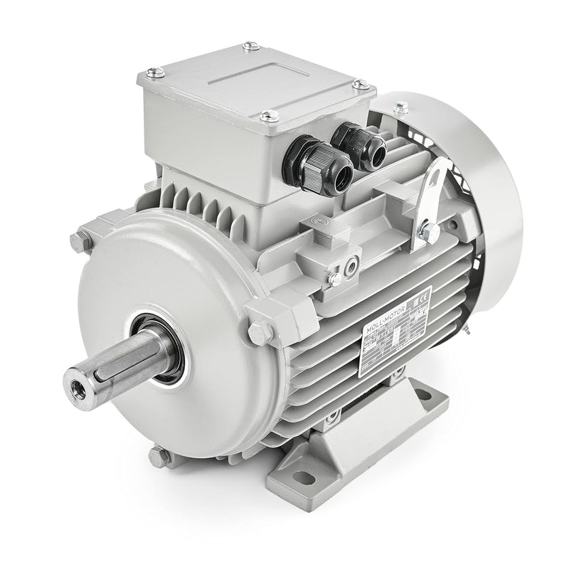 Elektromotor 4kW 1435rpm 3-phas. 400/690V Drehstrommotor MOLL-MOTOR Energiesparmotor S1 B3 Wellendur