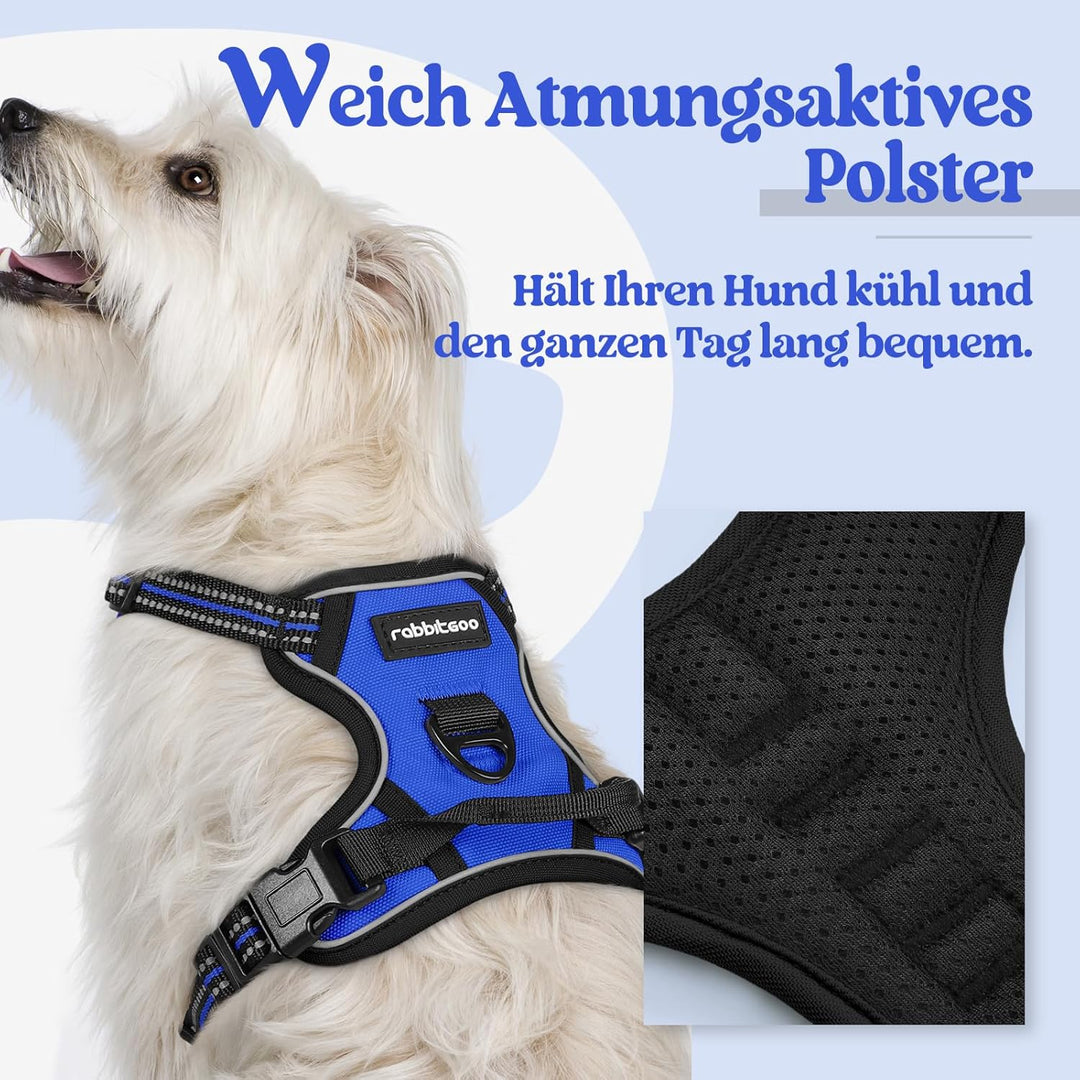 rabbitgoo Hundegeschirr Kleine Hunde, Anti Zug Geschirr mit Kontrolle, No Pull Verstellbar Hundegesc