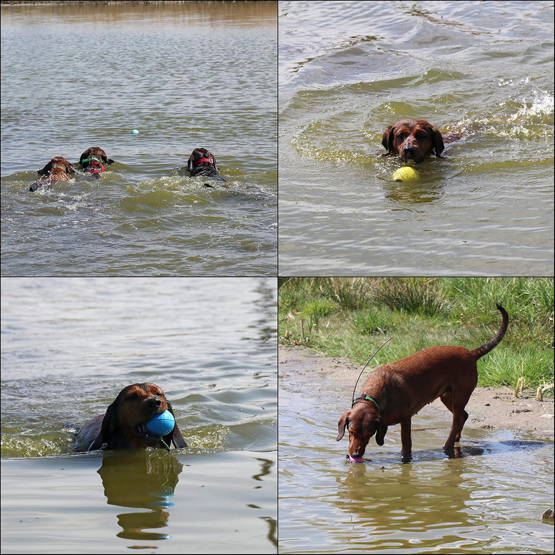 Dingo Gear Ball für Training 