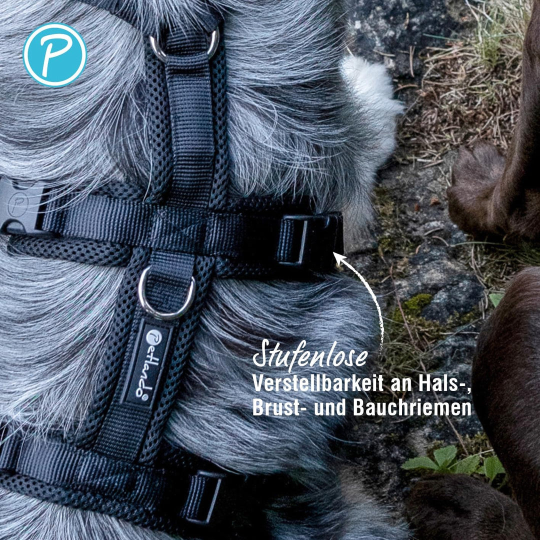 Petlando Sicherheitsgeschirr Mesh – für ängstliche Hunde, ausbruchsicher durch Zwei Gurte im Brust-
