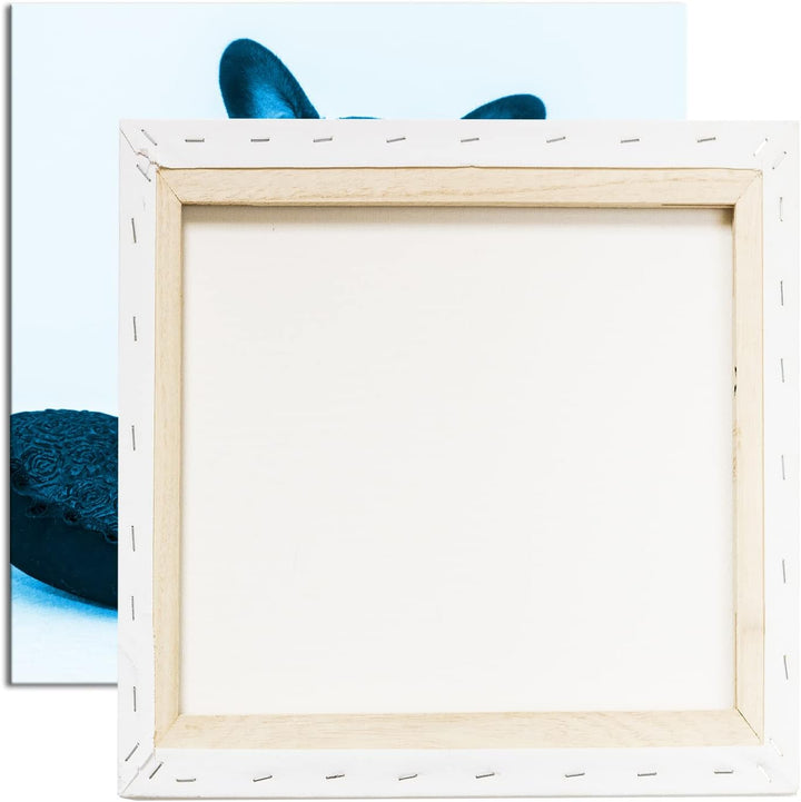 deyoli putzige Bulldogge mit einem Rotem Kissen Format: 60x60 Effekt: Monocrome Blau als Leinwandbil