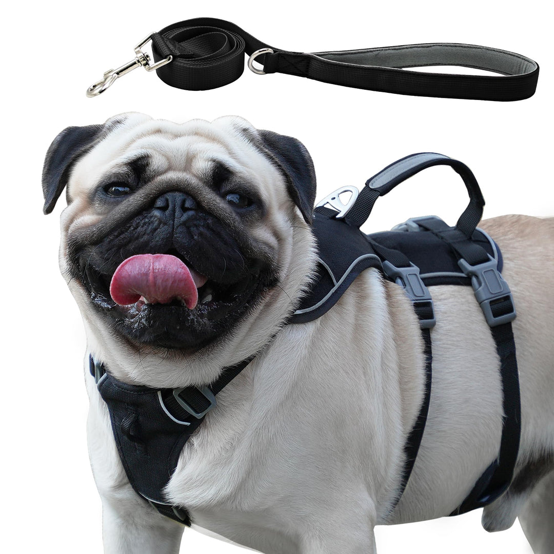 Wuffley Hundegeschirr mit Leine, Sicherheitsgeschirr Hund Ausbruchsicher, Anti Zug Hundegeschirr mit