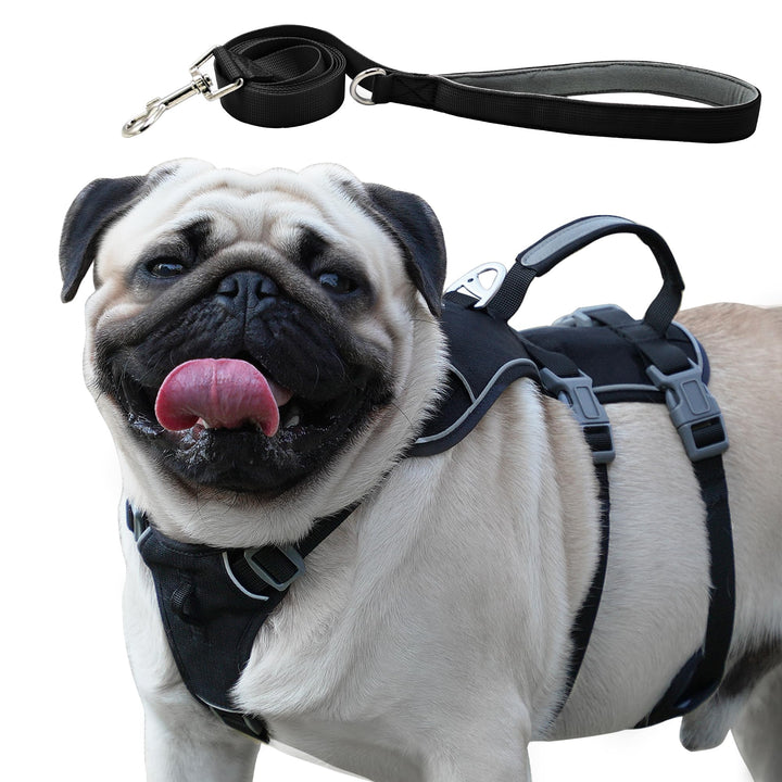Wuffley Hundegeschirr mit Leine, Sicherheitsgeschirr Hund Ausbruchsicher, Anti Zug Hundegeschirr mit